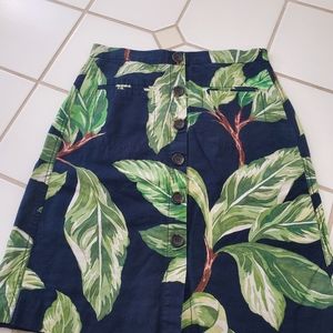 Ann Taylor Petite 8P cotton Skirt blue and green